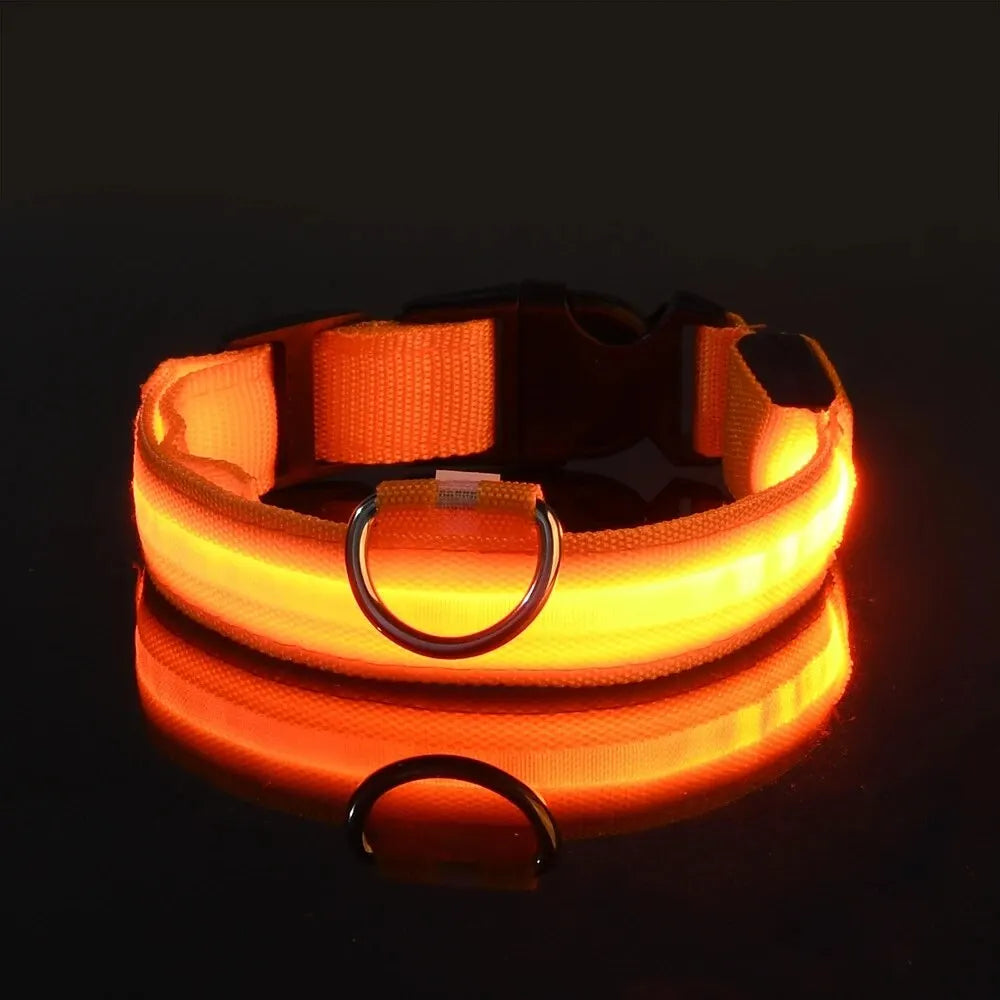 Guinzaglio per Cani in Nylon Led Sicurezza Notturna Lampeggiante Illumina al Buio Collare Fluorescente Luminoso
