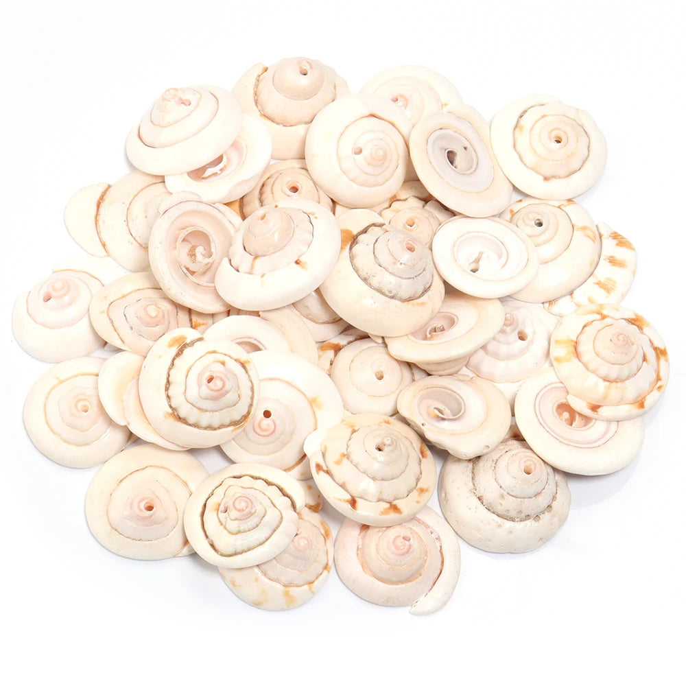 Perline Di Conchiglia Di Mare 30g 40g 50g Conchiglie A Spirale Distanziatori Per Artigianato Fai Da Te Decorazioni Casa