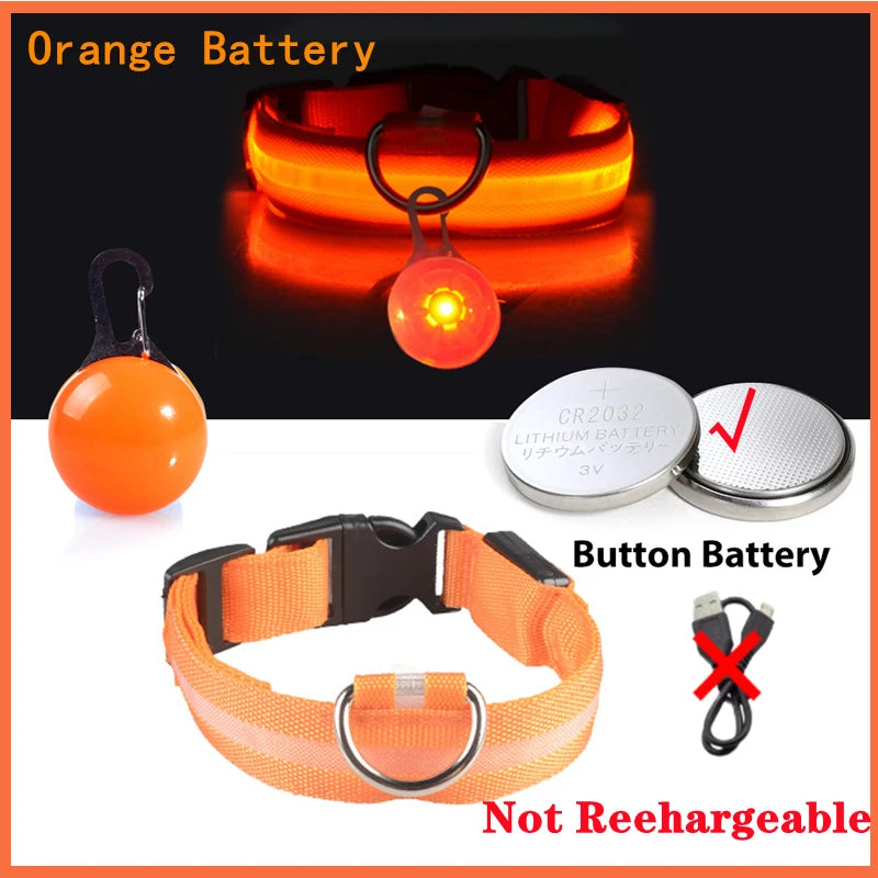 Collare Luminoso USB Ricaricabile Per Cani Di Piccola Taglia Pendente Staccabile Con Luce LED Notturna COOYOMOO