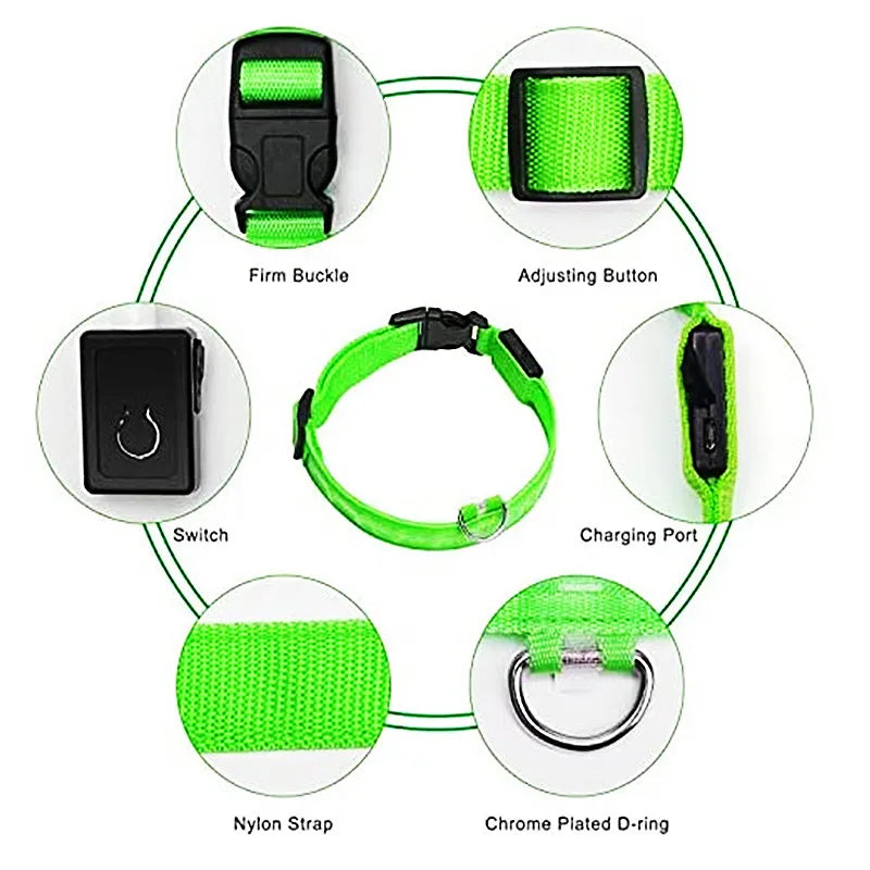 Collare Luminoso USB Ricaricabile Con Led Regolabile Cani Di Piccola Taglia E Gatti Luce Notturna Sicurezza Animali