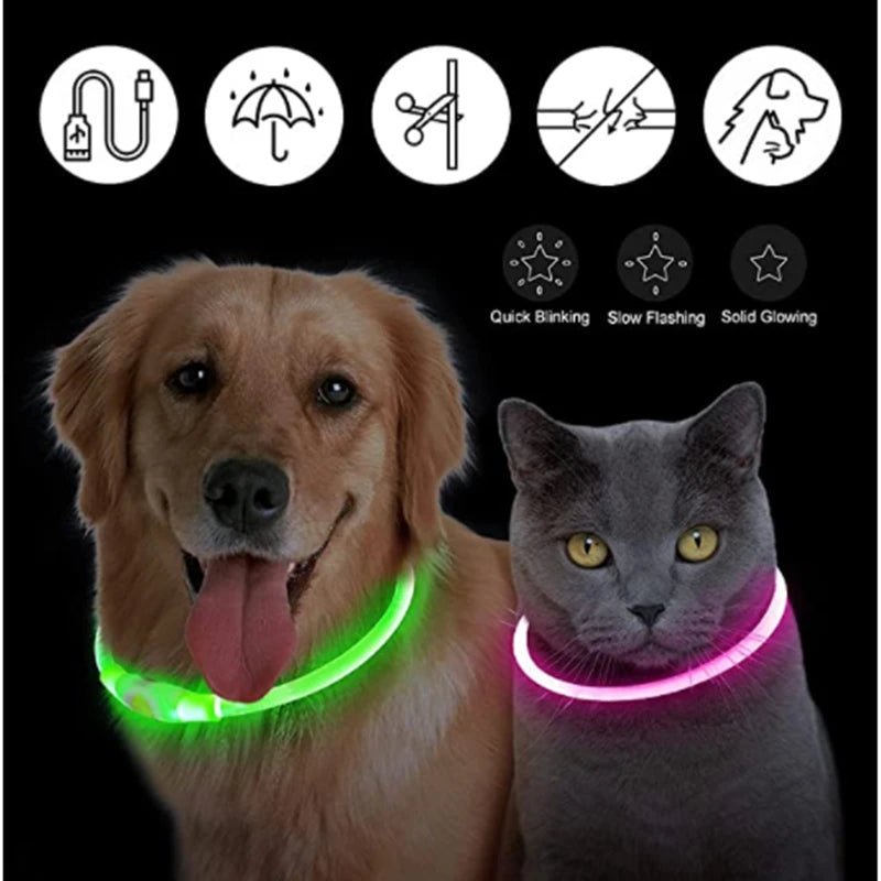Collare Luminoso USB Ricaricabile Con Led Regolabile Cani Di Piccola Taglia E Gatti Luce Notturna Sicurezza Animali