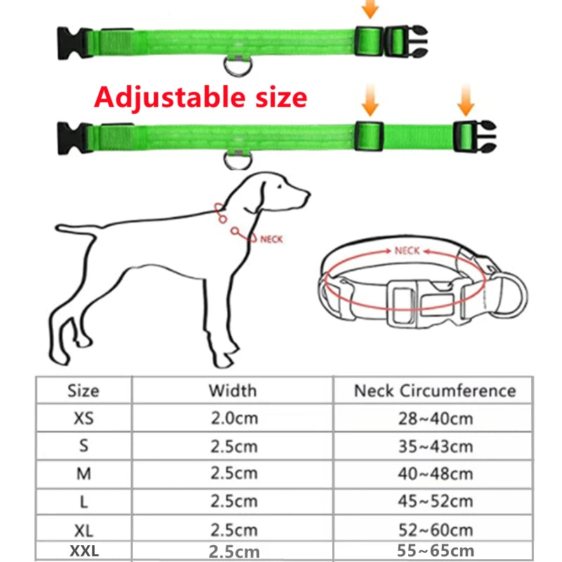 Collare Luminoso USB Ricaricabile Con Led Regolabile Cani Di Piccola Taglia E Gatti Luce Notturna Sicurezza Animali