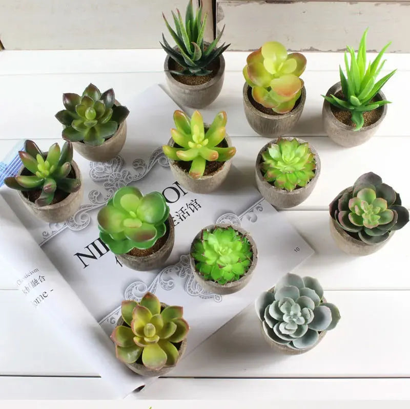 Mini Piante Succulente Artificiali Sempreverdi In Vaso Piccolo Per Ufficio Casa Decorazioni Da Tavolo Fiori Finti