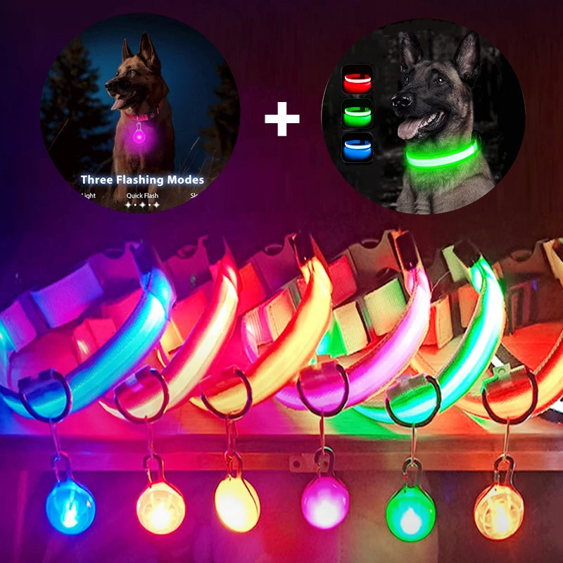 Collare Luminoso USB Ricaricabile Per Cani Di Piccola Taglia Pendente Staccabile Con Luce LED Notturna COOYOMOO