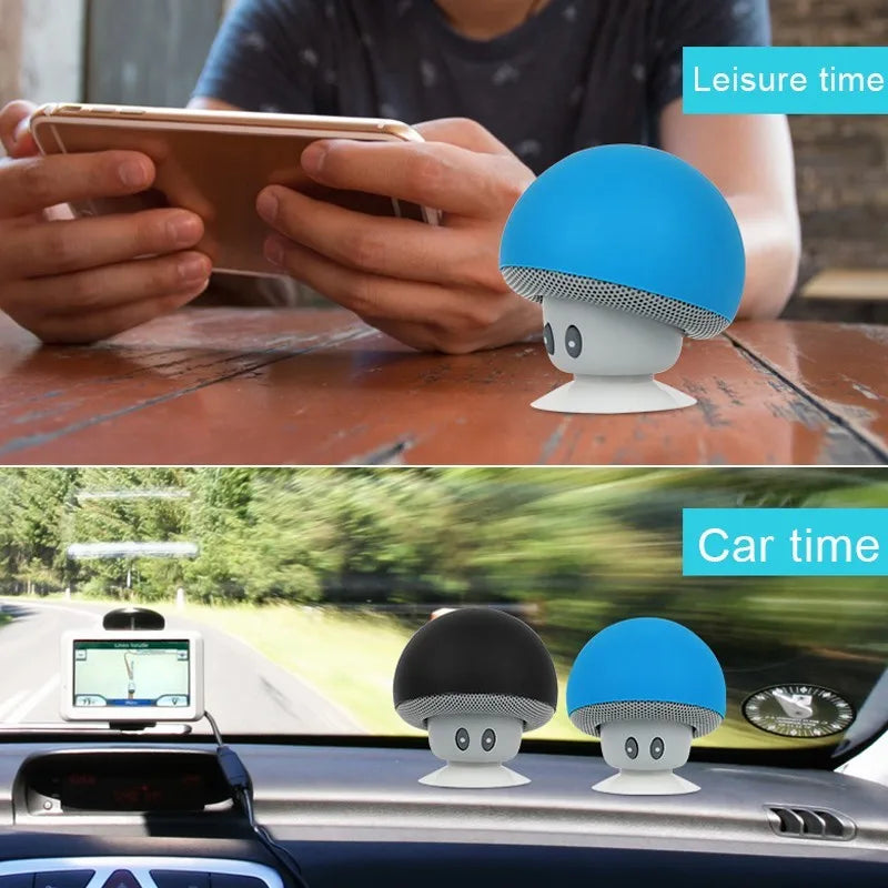 DUTRIEUX Altoparlante Bluetooth Con Subwoofer Integrato Ventosa Per Ciclisti Outdoor 30 Piedi