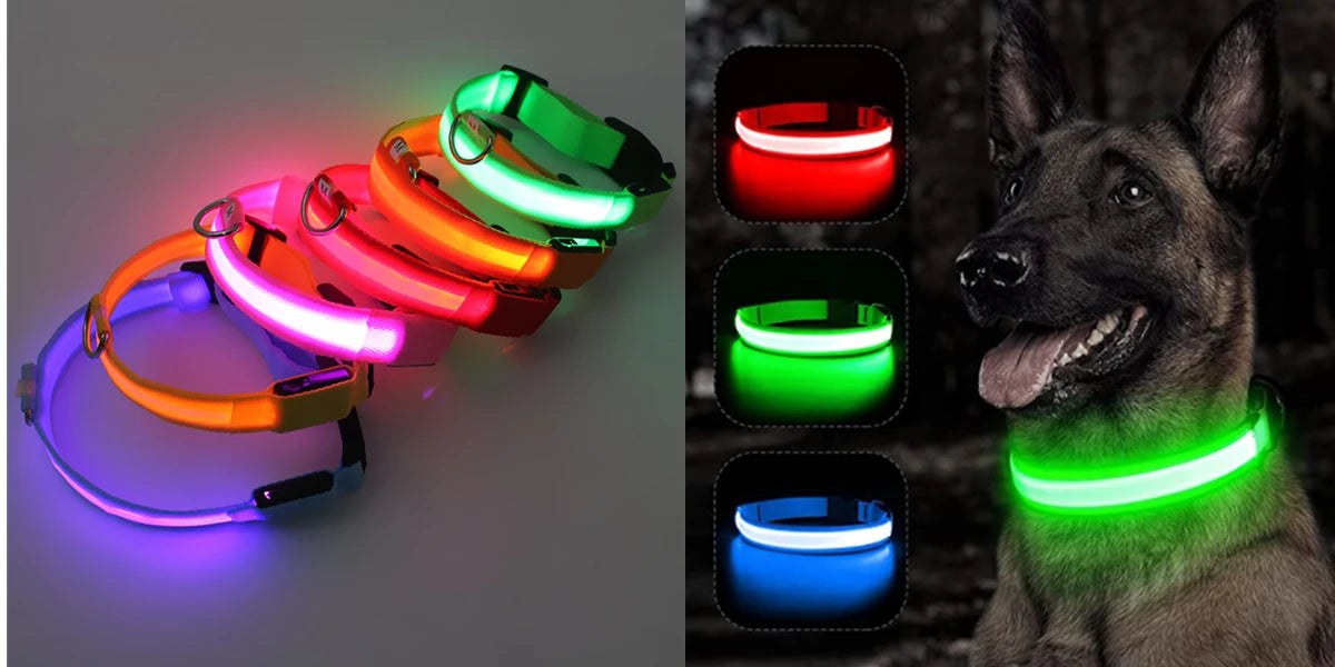 Collare Luminoso USB Ricaricabile Per Cani Di Piccola Taglia Pendente Staccabile Con Luce LED Notturna COOYOMOO