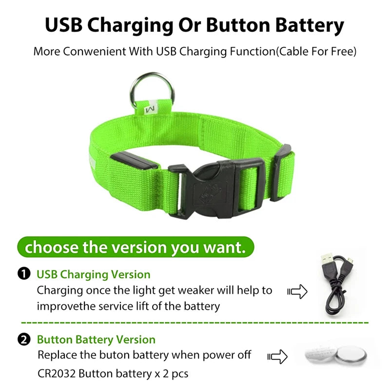 Collare Luminoso USB Ricaricabile Per Cani Di Piccola Taglia Pendente Staccabile Con Luce LED Notturna COOYOMOO