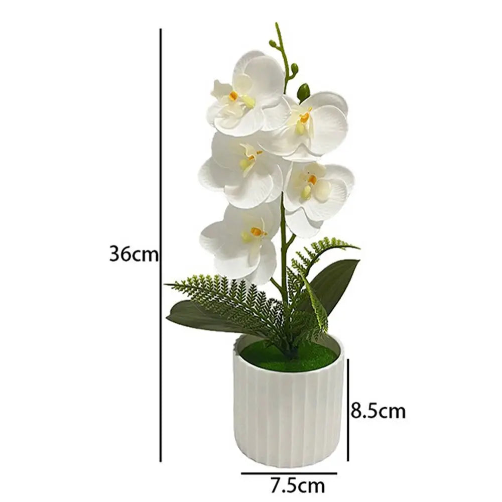 Vaso Da Bar Verticale Con 5 Orchidee A Farfalla Per Matrimonio E Scrivania Decorazione Piante Verdi In Set Design