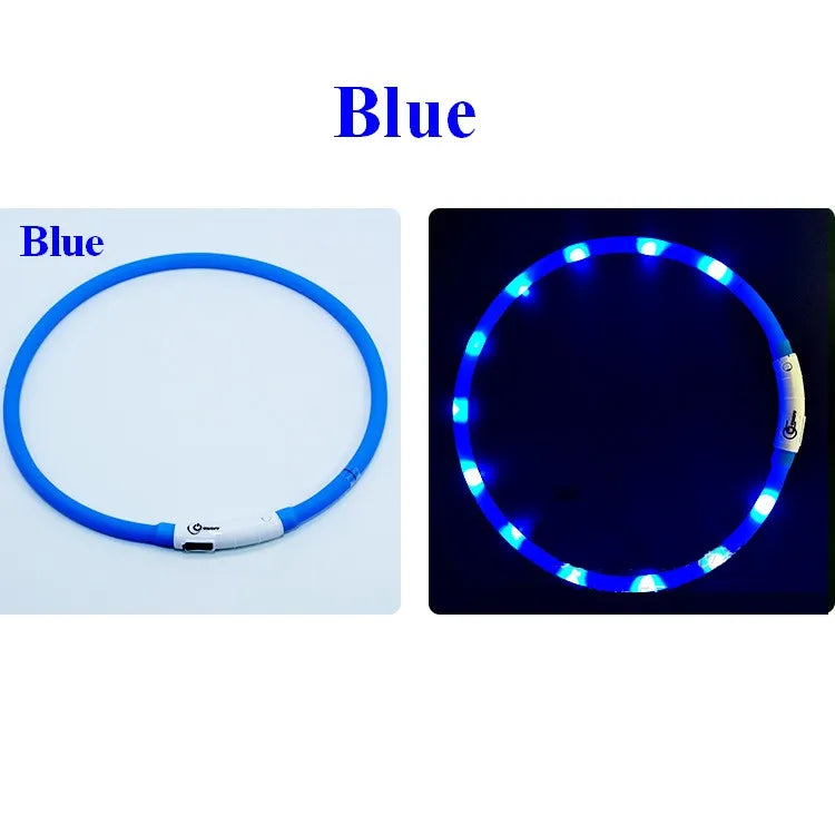 Collare Per Cani In Silicone LED Ricaricabile Tre Modalità Luce Lampeggiante Sicurezza Notturna Anti Smarrimento 70 Cm
