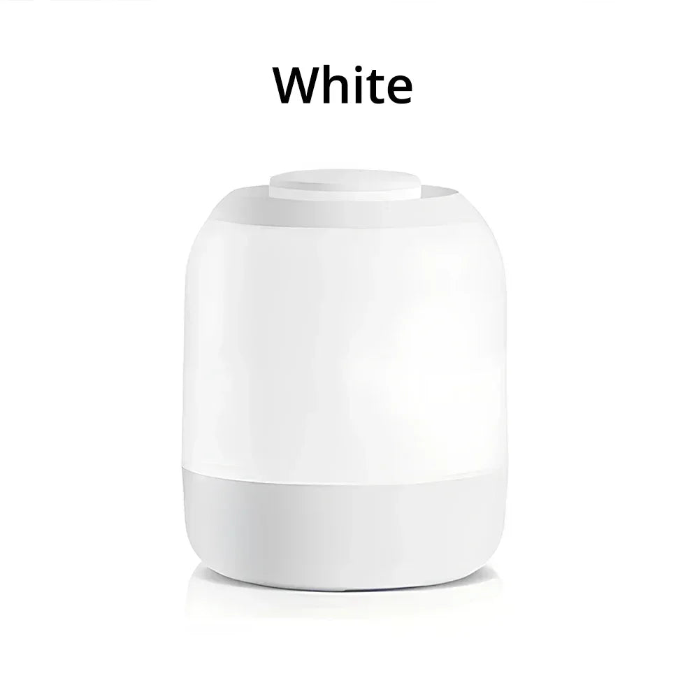 Lampada Da Tavolo Dimmerabile Con Controllo Tocco USB Ricaricabile Luce Notturna Per Camera E Soggiorno Decorazione