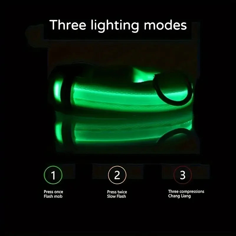 Guinzaglio per Cani in Nylon Led Sicurezza Notturna Lampeggiante Illumina al Buio Collare Fluorescente Luminoso