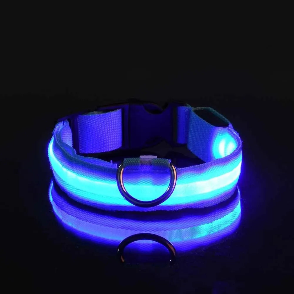 Guinzaglio per Cani in Nylon Led Sicurezza Notturna Lampeggiante Illumina al Buio Collare Fluorescente Luminoso