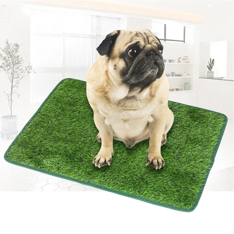 Toilette Per Cani Con Erba Artificiale Riutilizzabile Tappetino Addestramento Vasino Antiscivolo Facile Da Pulire