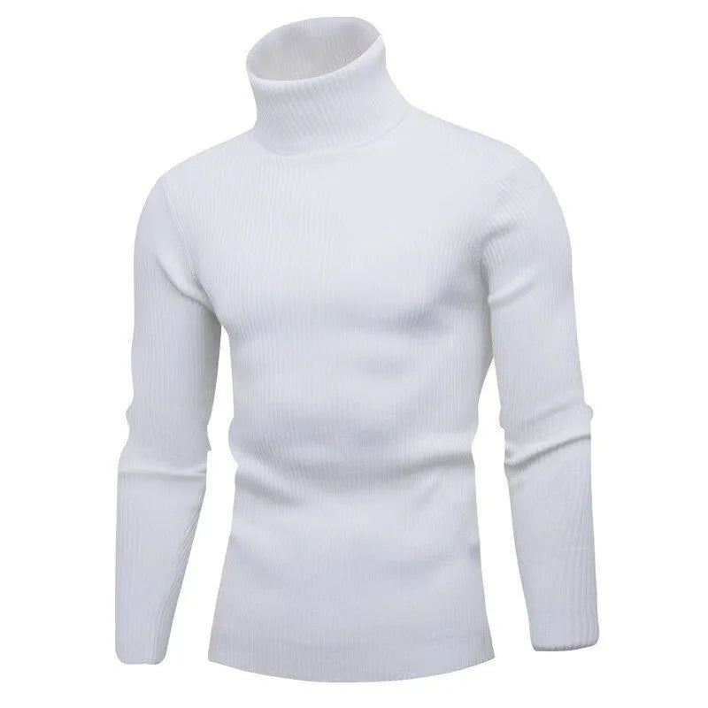 Pullover Da Uomo Dolcevita Lavorato A Maglia Solido Slim Fit Autunno Inverno Manica Intera Casual