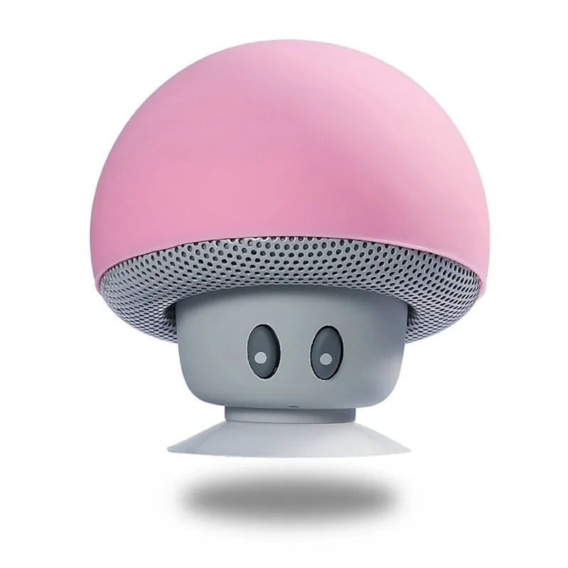 DUTRIEUX Altoparlante Bluetooth Con Subwoofer Integrato Ventosa Per Ciclisti Outdoor 30 Piedi