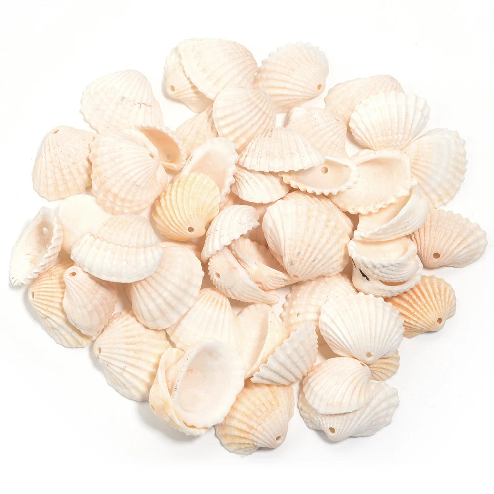 Perline Di Conchiglia Di Mare 30g 40g 50g Conchiglie A Spirale Distanziatori Per Artigianato Fai Da Te Decorazioni Casa