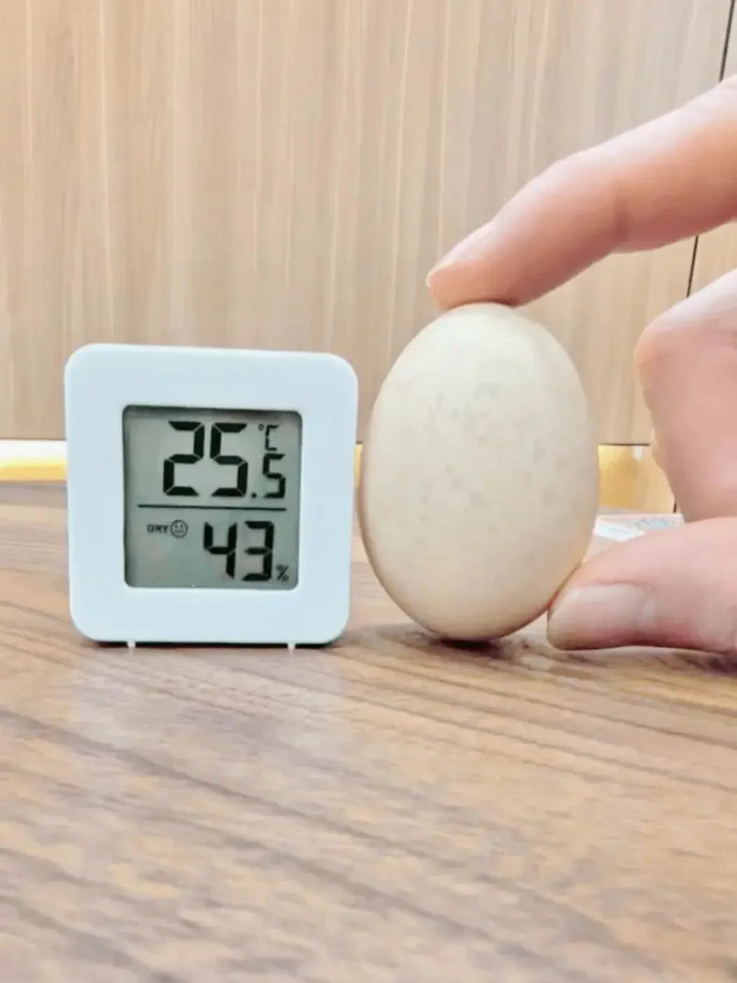 Indicatore Di Temperatura E Umidità Per Mini Termometro Digitale Con Sensore, Montaggio A Parete, Schermo LCD Domestico