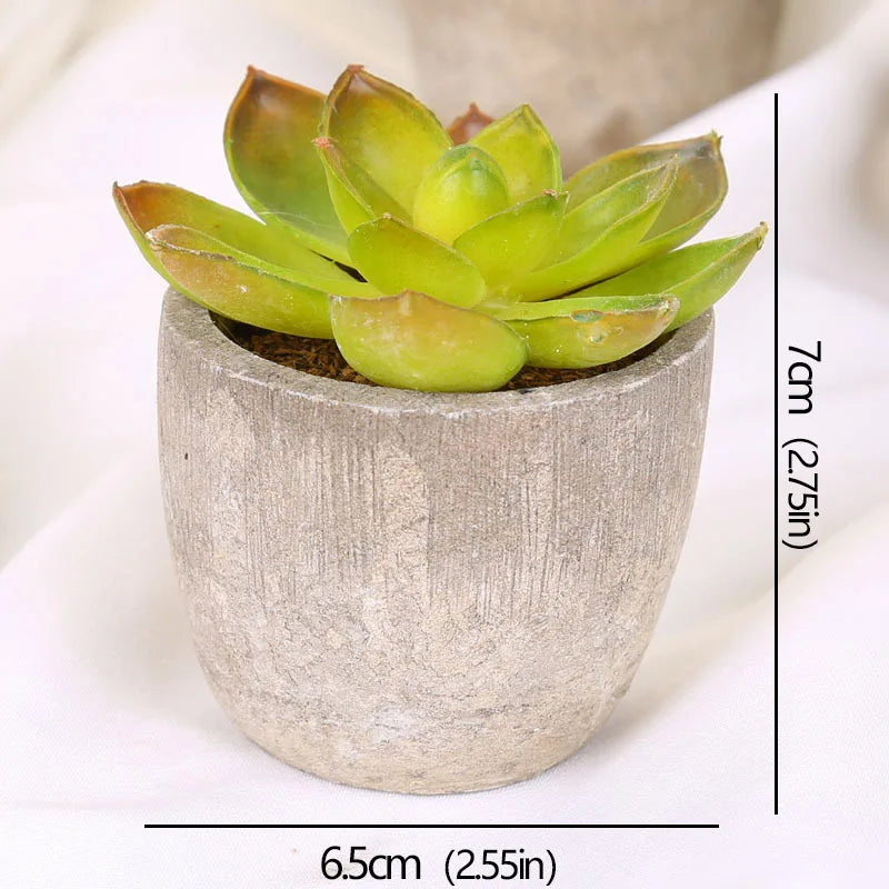 Mini Piante Succulente Artificiali Sempreverdi In Vaso Piccolo Per Ufficio Casa Decorazioni Da Tavolo Fiori Finti