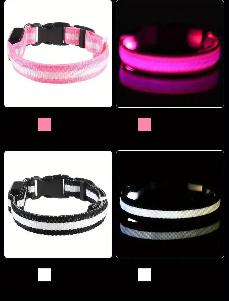Guinzaglio per Cani in Nylon Led Sicurezza Notturna Lampeggiante Illumina al Buio Collare Fluorescente Luminoso