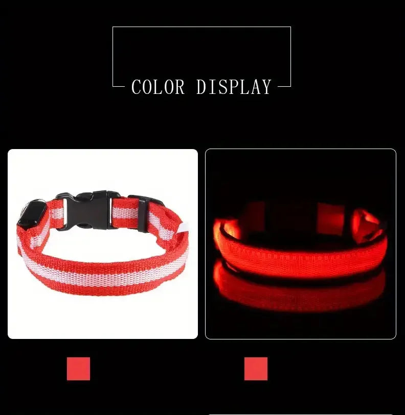 Guinzaglio per Cani in Nylon Led Sicurezza Notturna Lampeggiante Illumina al Buio Collare Fluorescente Luminoso