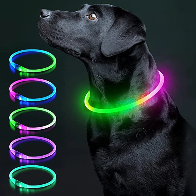 Collare Luminoso USB Ricaricabile Con Led Regolabile Cani Di Piccola Taglia E Gatti Luce Notturna Sicurezza Animali