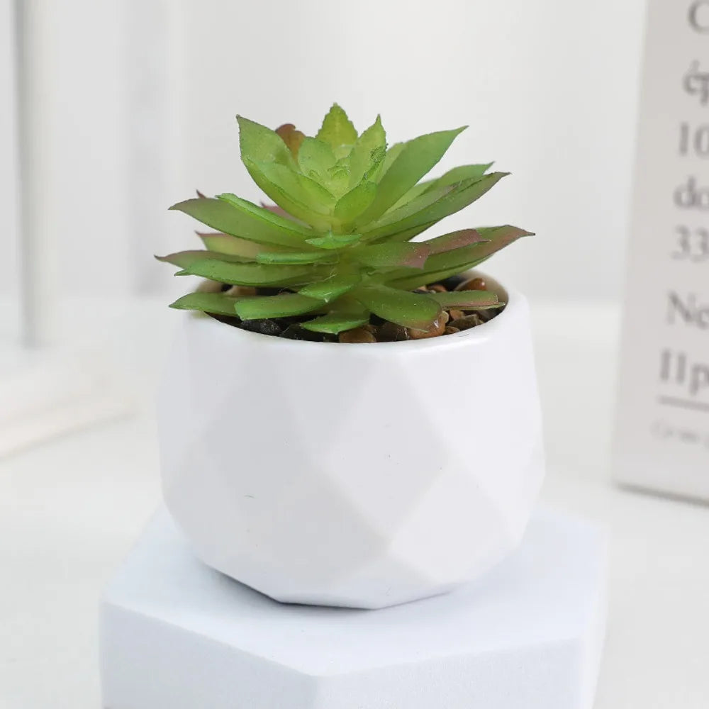 Simulazione Di Piante Bonsai E Succulente Artificiali Mini Evergreen Bonsai Cactus Decor Plastica Finta Per Decorazione