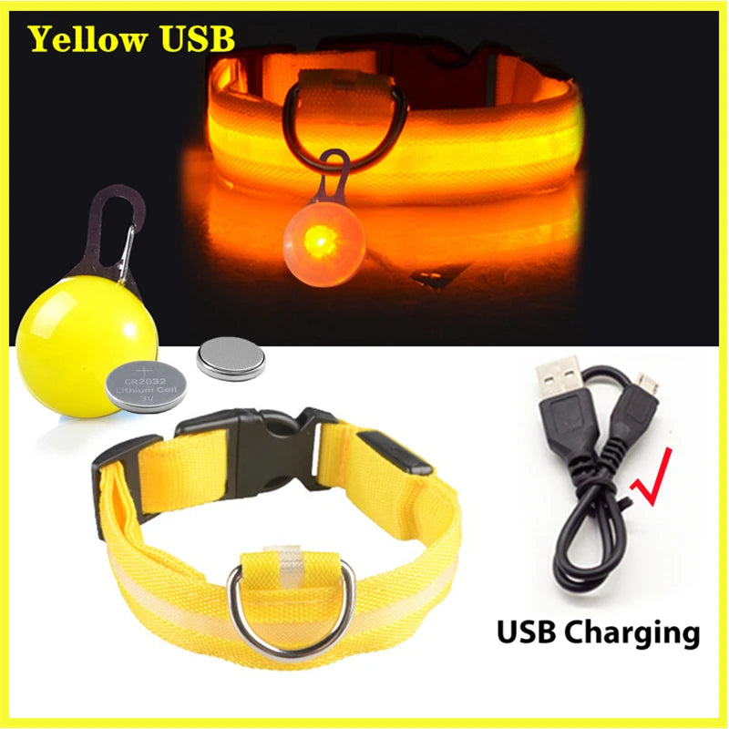 Collare Luminoso USB Ricaricabile Per Cani Di Piccola Taglia Pendente Staccabile Con Luce LED Notturna COOYOMOO