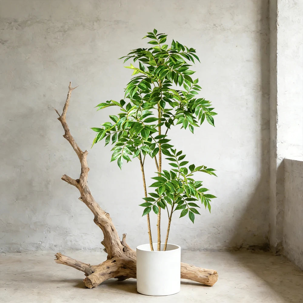 Albero Falso Baniano Tropicale Con Foglie In Plastica Disponibile In Altezza 76 110 E 140 Cm Ideale Per Soggiorni Uffici