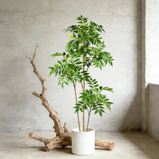 Albero Falso Baniano Tropicale Con Foglie In Plastica Disponibile In Altezza 76 110 E 140 Cm Ideale Per Soggiorni Uffici