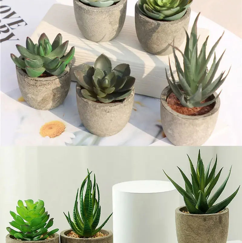Mini Piante Succulente Artificiali Sempreverdi In Vaso Piccolo Per Ufficio Casa Decorazioni Da Tavolo Fiori Finti