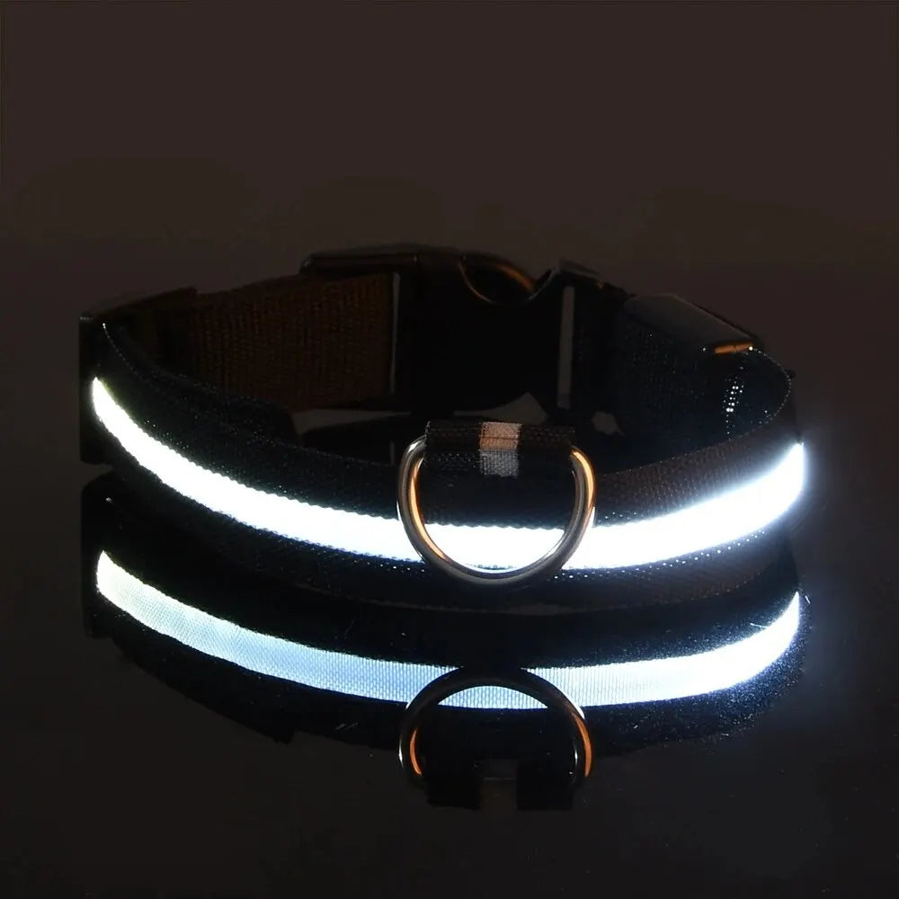Guinzaglio per Cani in Nylon Led Sicurezza Notturna Lampeggiante Illumina al Buio Collare Fluorescente Luminoso