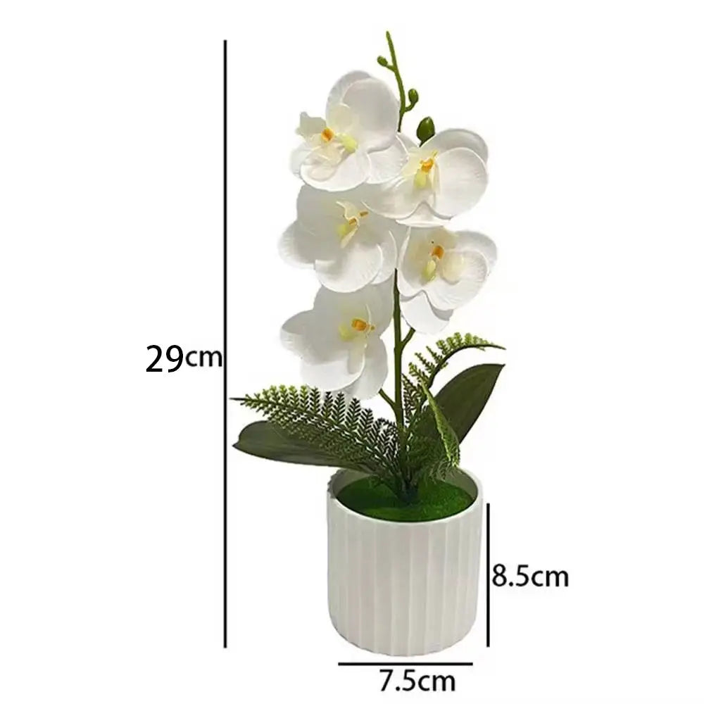 Vaso Da Bar Verticale Con 5 Orchidee A Farfalla Per Matrimonio E Scrivania Decorazione Piante Verdi In Set Design
