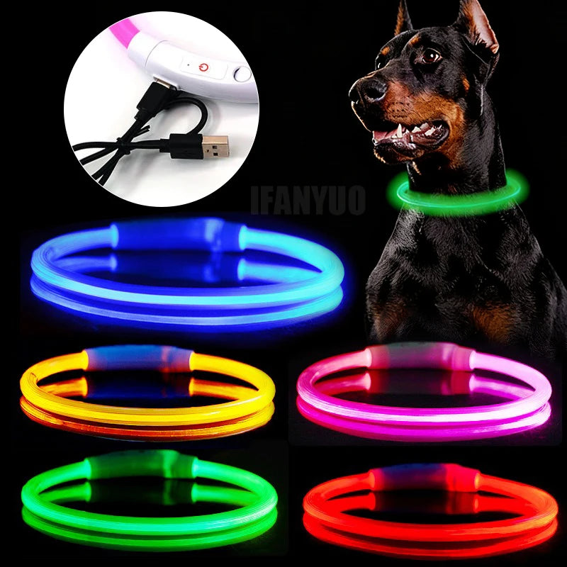 Collare Di Ricarica Luminoso Per Cani A 3 Modalità USB LED Staccabile Anti Smarrimento Notturno