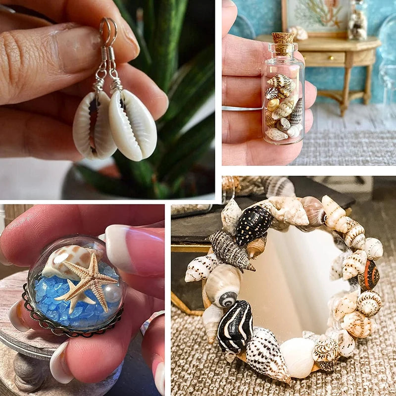 Conchiglie Di Mare Miste Dimensioni Da 200 A 250 Grammi Per Decorazioni Spiaggia Matrimonio Casa Acquario Diy
