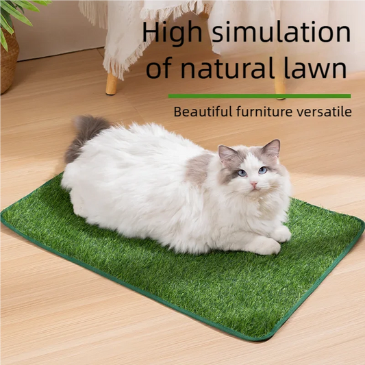 Toilette Per Cani Con Erba Artificiale Riutilizzabile Tappetino Addestramento Vasino Antiscivolo Facile Da Pulire