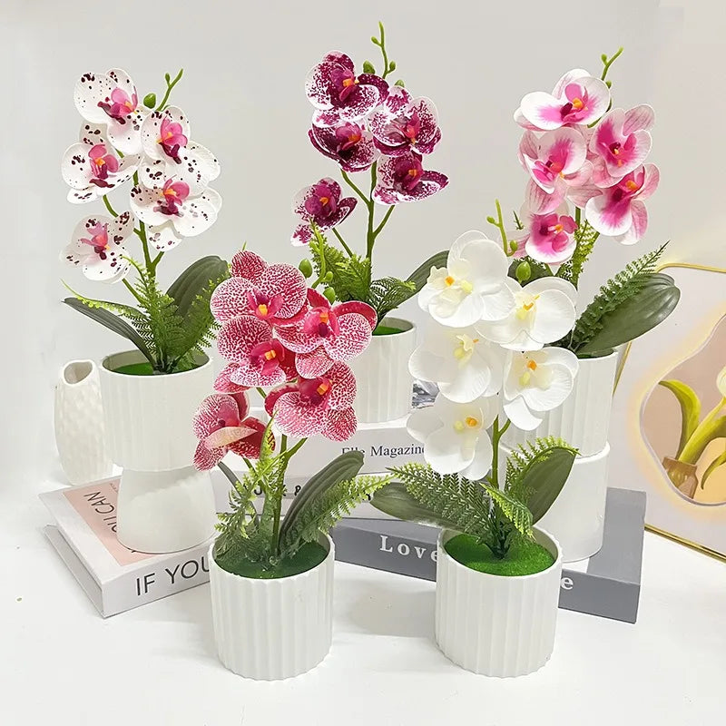 Vaso Da Bar Verticale Con 5 Orchidee A Farfalla Per Matrimonio E Scrivania Decorazione Piante Verdi In Set Design