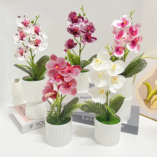 Vaso Da Bar Verticale Con 5 Orchidee A Farfalla Per Matrimonio E Scrivania Decorazione Piante Verdi In Set Design