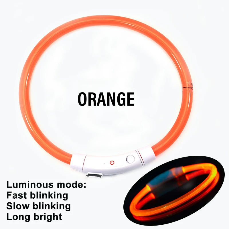 Collare Di Ricarica Luminoso Per Cani A 3 Modalità USB LED Staccabile Anti Smarrimento Notturno