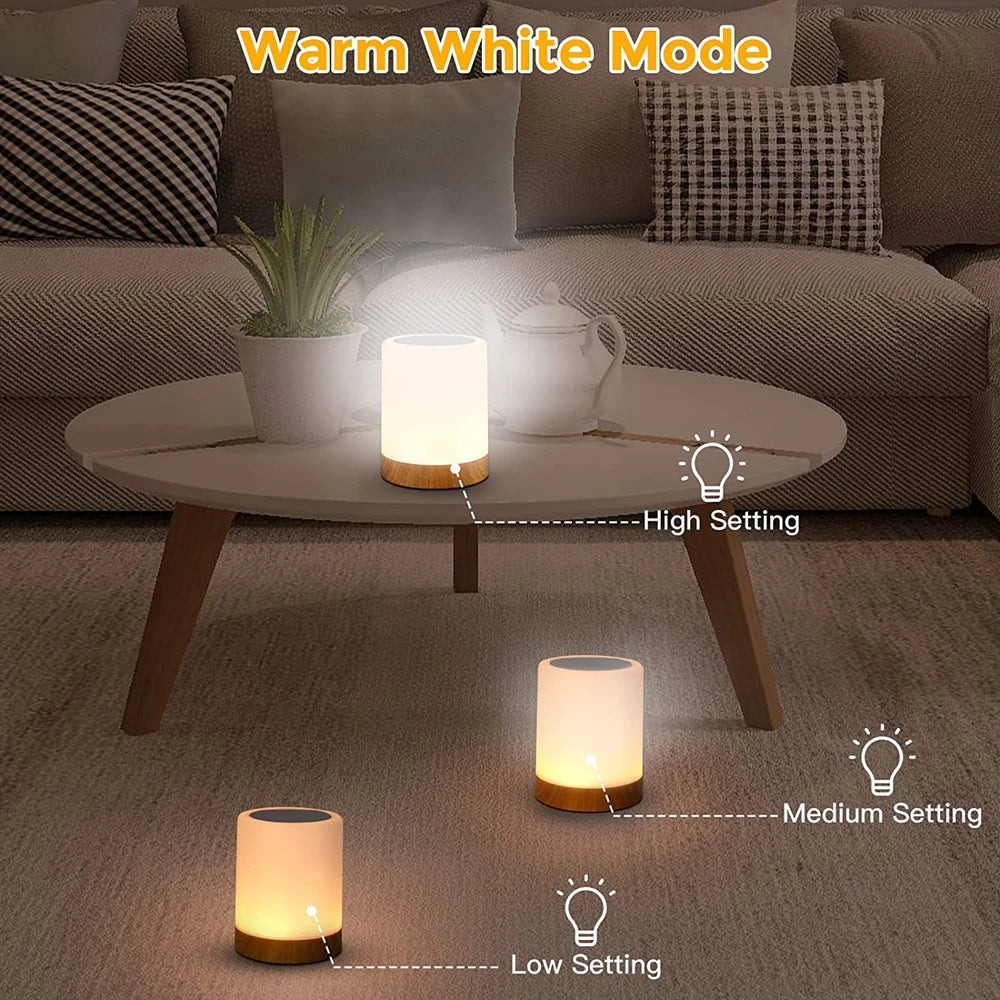 Tocca La Luce Notturna Lampada Da Tavolo Camera Da Letto Luce Colorata Ambientale Cambia Colore Ricarica USB Dimmerabile