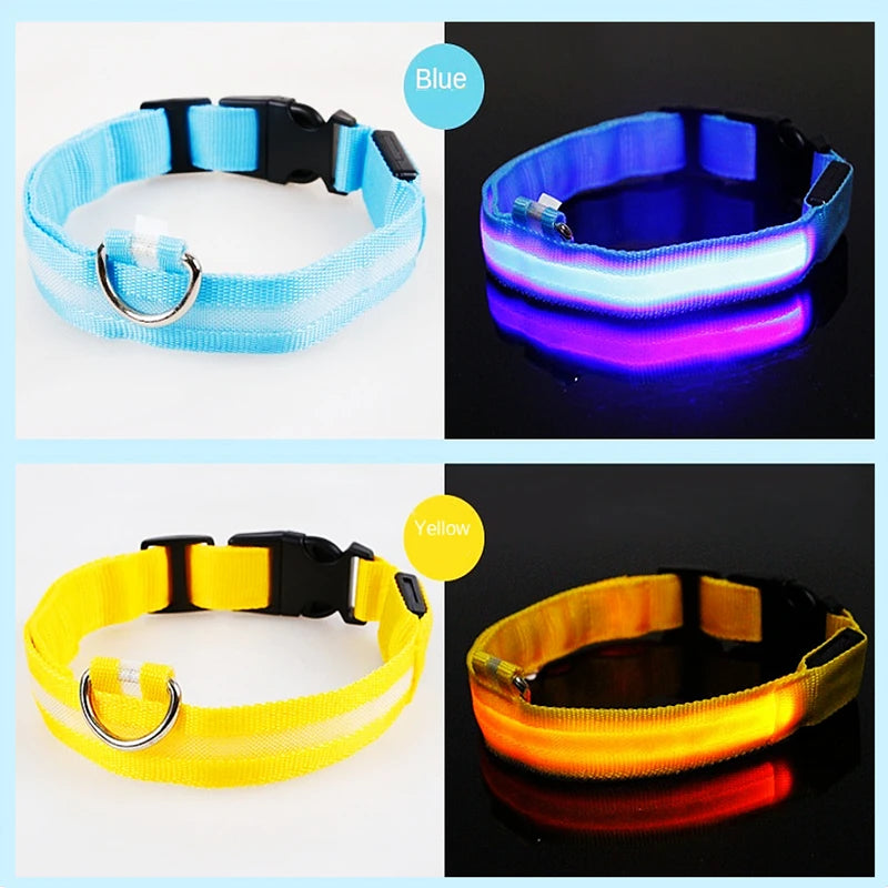 Collare Luminoso USB Ricaricabile Con Led Regolabile Cani Di Piccola Taglia E Gatti Luce Notturna Sicurezza Animali