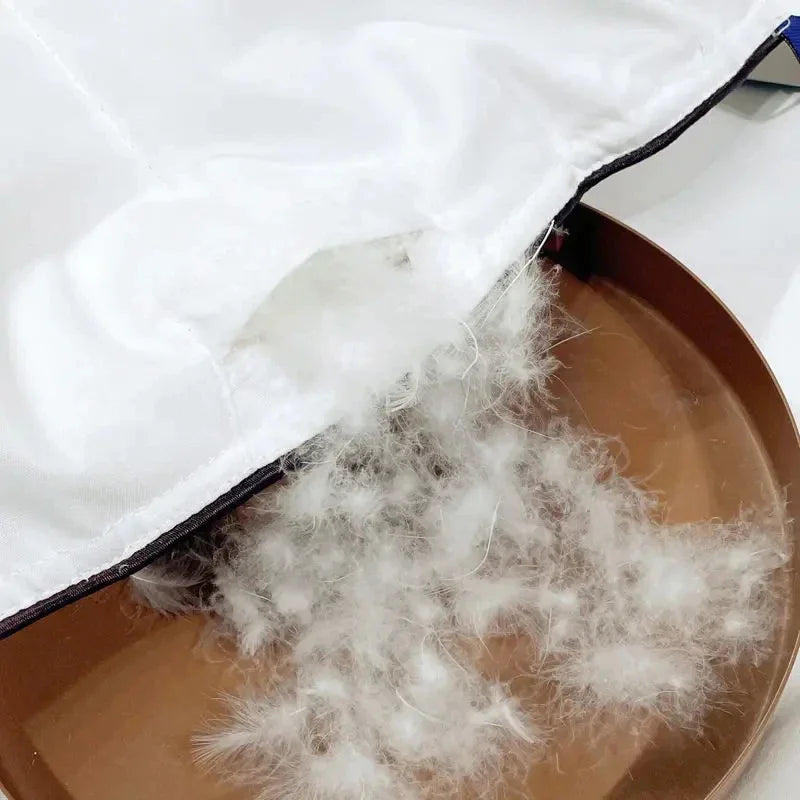 Hilton 5 Stelle Piumino Quattro Stagioni Letto Matrimoniale Caldo Trapunta Invernale