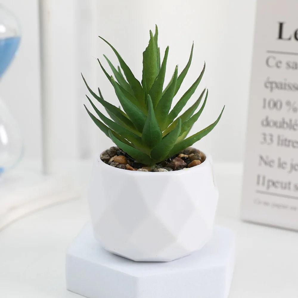 Simulazione Di Piante Bonsai E Succulente Artificiali Mini Evergreen Bonsai Cactus Decor Plastica Finta Per Decorazione