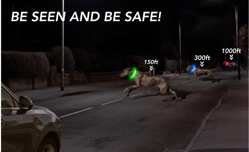 Collare Luminoso USB Ricaricabile Per Cani Di Piccola Taglia Pendente Staccabile Con Luce LED Notturna COOYOMOO