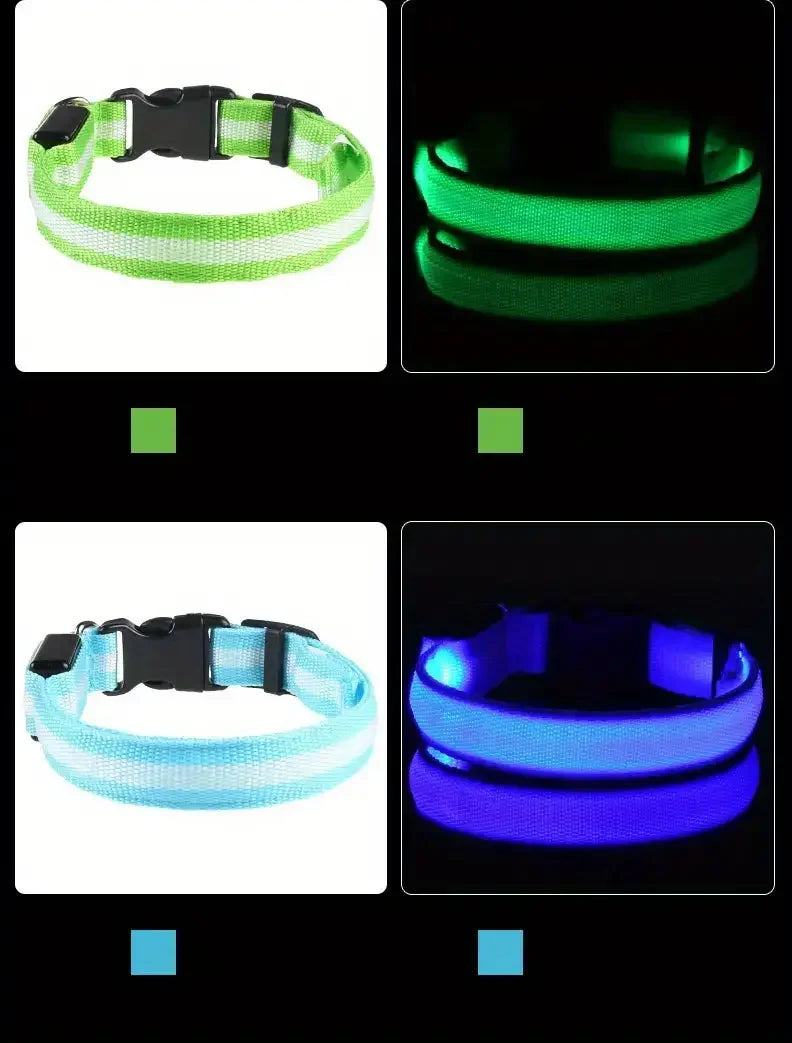 Guinzaglio per Cani in Nylon Led Sicurezza Notturna Lampeggiante Illumina al Buio Collare Fluorescente Luminoso