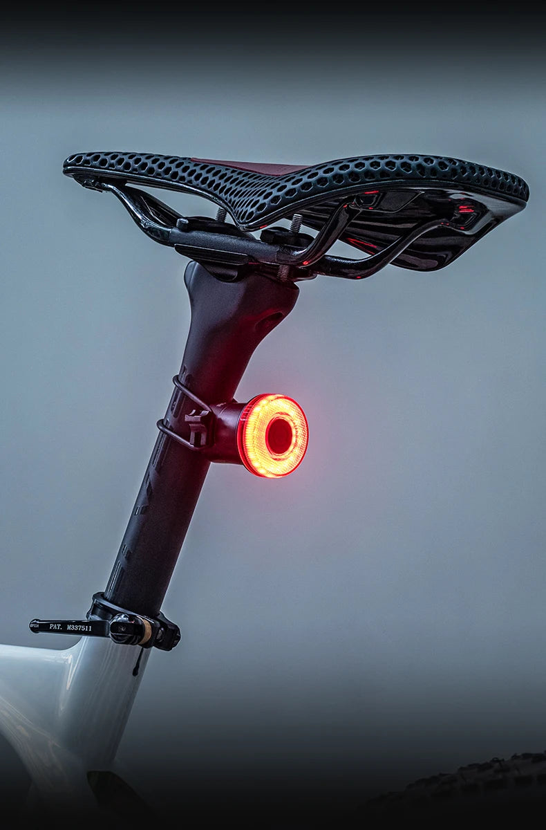 ROCKBROS Fanale Posteriore Per Bicicletta Intelligente Ricaricabile Tipo C Impermeabile IPX7 Per Guida Notturna