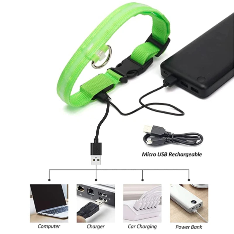 Collare Luminoso USB Ricaricabile Con Led Regolabile Cani Di Piccola Taglia E Gatti Luce Notturna Sicurezza Animali