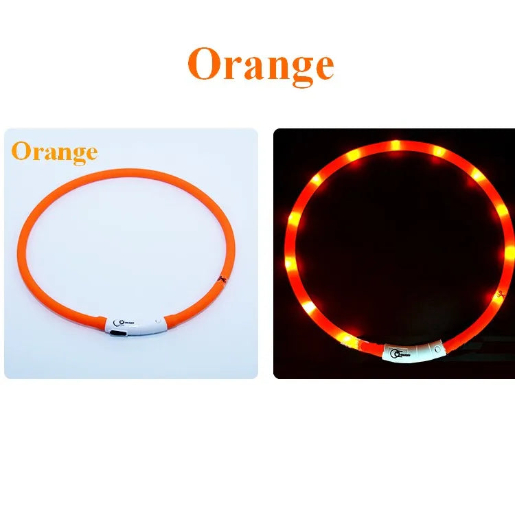 Collare Per Cani In Silicone LED Ricaricabile Tre Modalità Luce Lampeggiante Sicurezza Notturna Anti Smarrimento 70 Cm