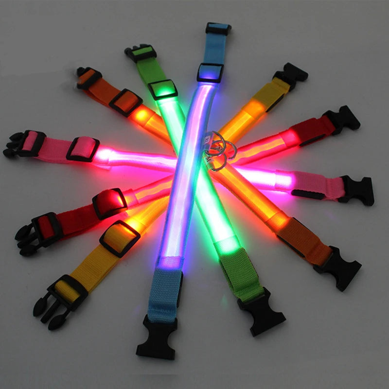 Collare Luminoso USB Ricaricabile Per Cani Di Piccola Taglia Pendente Staccabile Con Luce LED Notturna COOYOMOO
