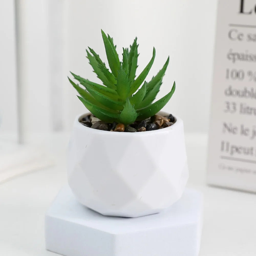 Simulazione Di Piante Bonsai E Succulente Artificiali Mini Evergreen Bonsai Cactus Decor Plastica Finta Per Decorazione