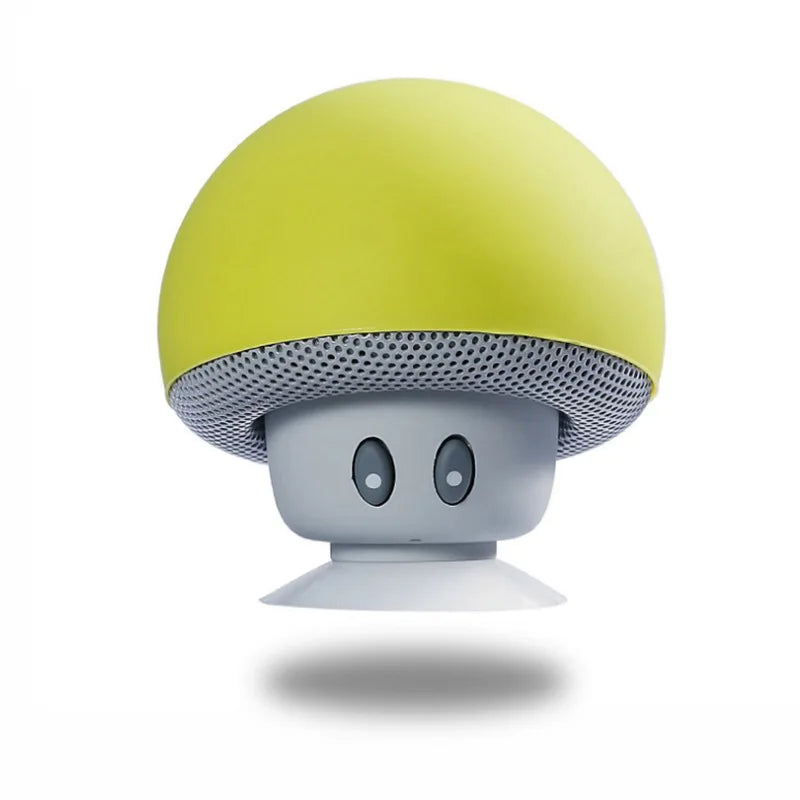 DUTRIEUX Altoparlante Bluetooth Con Subwoofer Integrato Ventosa Per Ciclisti Outdoor 30 Piedi